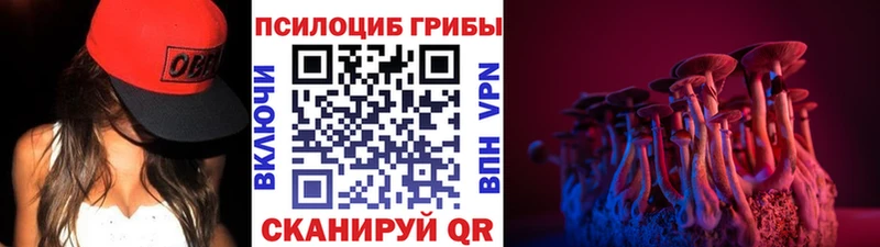 что такое   Брюховецкая  Псилоцибиновые грибы Magic Shrooms 